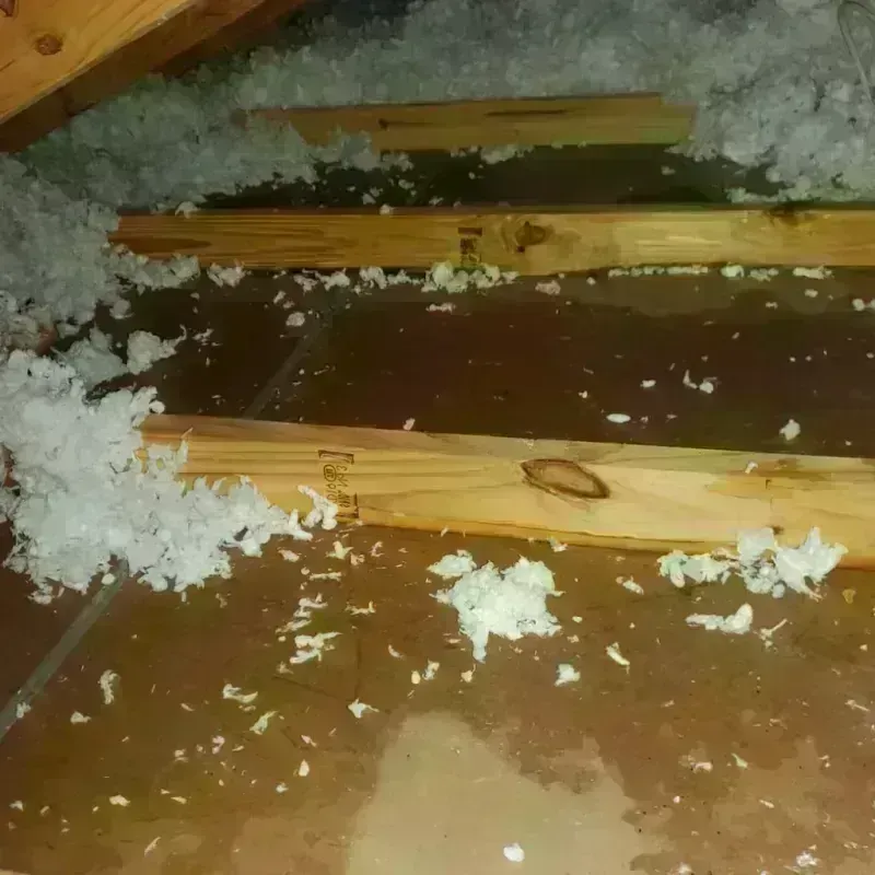 Attic Water Damage in DeWitt County, TX