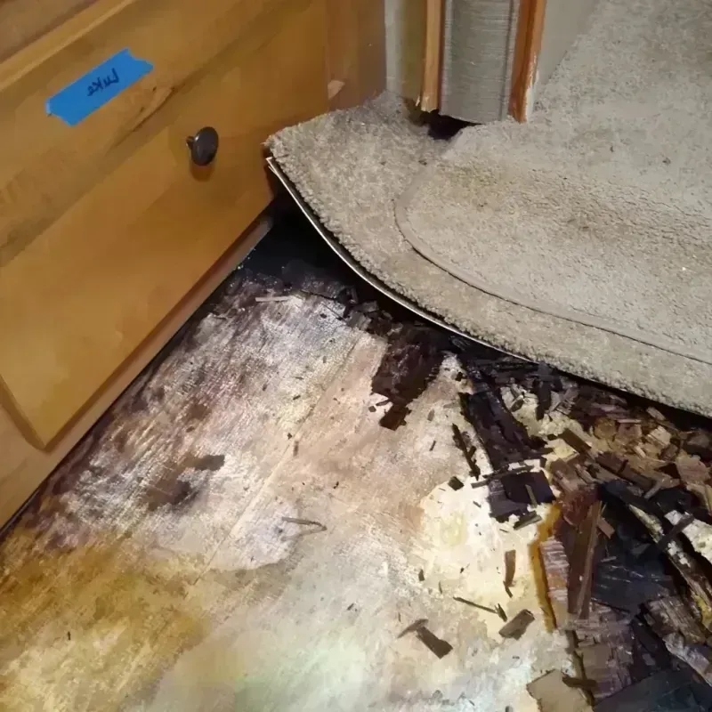 Wood Floor Water Damage in DeWitt County, TX